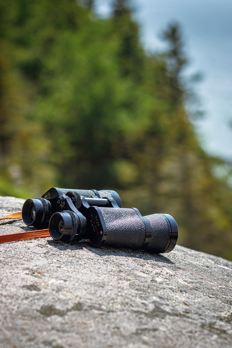 a pair of binoculars sitting on top of a rock
