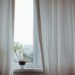 potted plant on window with curtain